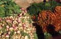 DT_AGRI.007