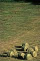 DT_AGRI.067